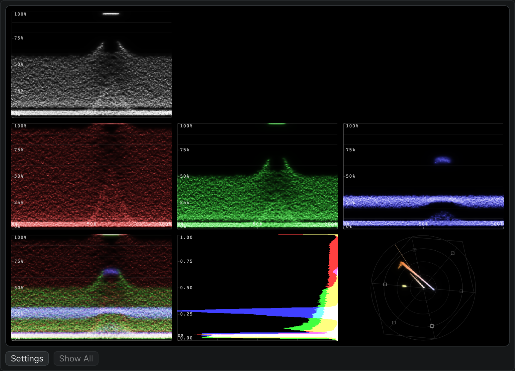 The scopes panel reading a frame: per-channel and combined RGB waveforms, the luma waveform, the histogram, and the vector scope.
