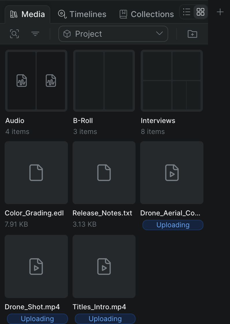 The Sequence project library browser panel on the Media tab, showing the list of source clips and asset rows where you locate a file to download.