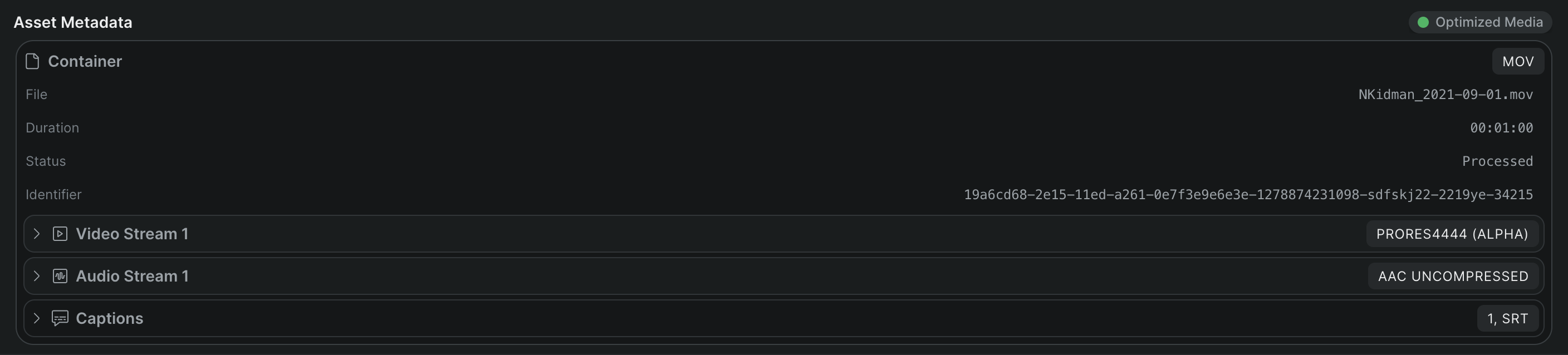 The Asset Metadata module showing the container, video stream, and audio stream sections.