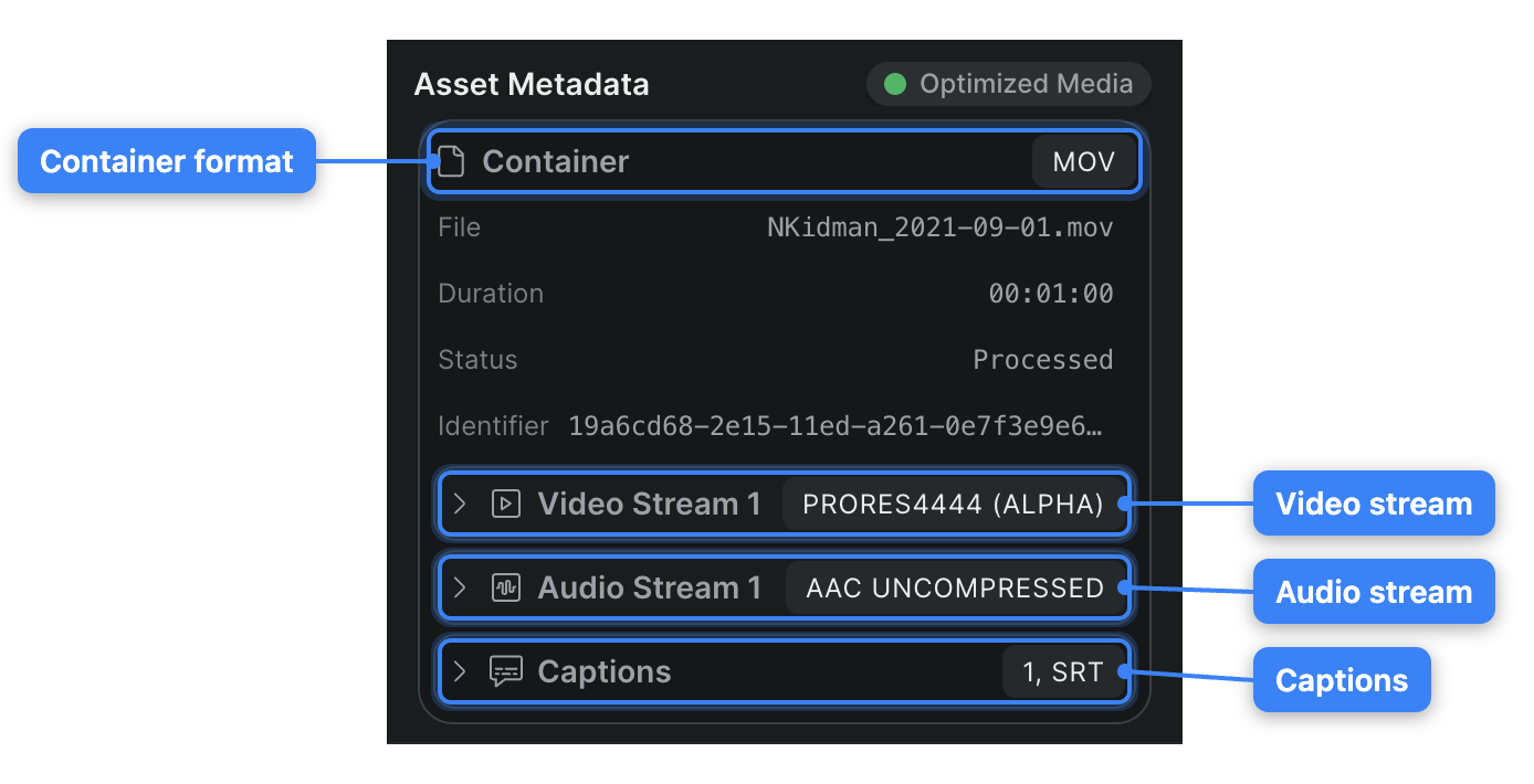 The Asset Metadata panel, calling out the container format and the video, audio, and caption streams.