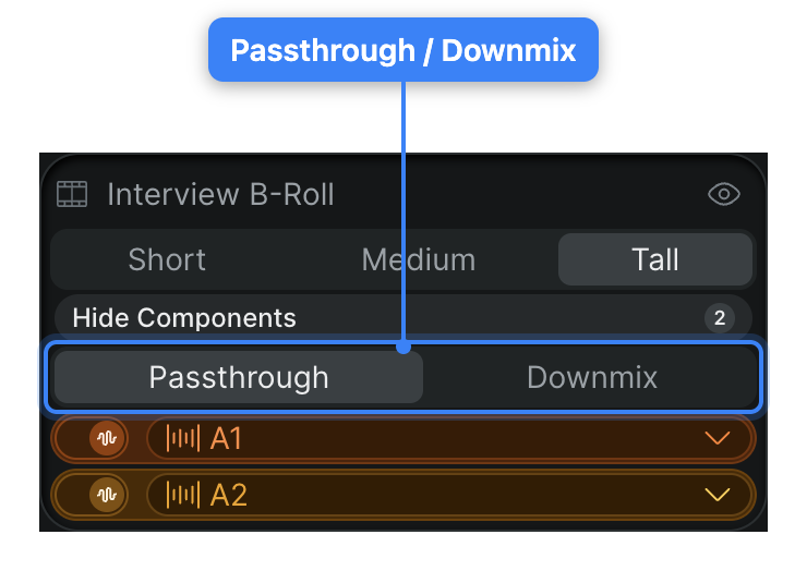 A selected nested-timeline element in Track view: a Passthrough / Downmix toggle at the top of its component list, above the element's audio component strips.